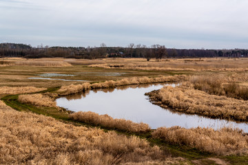 Dolina Górnej Narwi. Rzeka Narew. Wiosna na Podlasiu. Polska © podlaski49