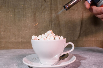 Delicious flavored cocoa marshmallows.