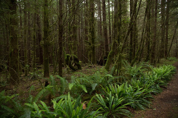 British Columbia