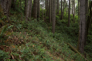 Obraz premium British Columbia