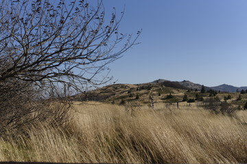 Bieszczady Mountain park with top view in high sun