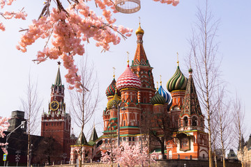 Moscow, Russia, April 16, 2018 - St. Basil's Cathedral, the Kremlin and Vasilyevsky Descent in the spring surrounded by artificial sakura trees, installation. - 332764262