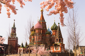 Moscow, Russia, April 16, 2018 - St. Basil's Cathedral, the Kremlin and Vasilyevsky Descent in the spring surrounded by artificial sakura trees, installation. - 332764296