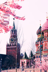 Moscow, Russia, April 16, 2018 - St. Basil's Cathedral, the Kremlin and Vasilyevsky Descent in the spring surrounded by artificial sakura trees, installation. - 332764403