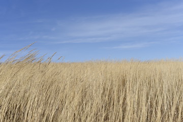 Bieszczady Mountain park with top view in high sun