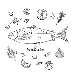 Fish recipe ingredients with salmon. Black line sketch of fish with herbs and vegetables isolated on white background. Hand drawn vector illustration