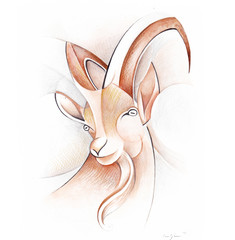 Pastel drawing of a goat front view, hand painted portrait of a goat