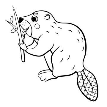 Cute cartoon wild beaver with a tree branch vector coloring page outline. Coloring book of forest animals for kids. Isolated on white background