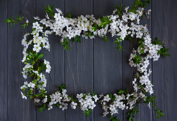 Spring frame for text. Banner design for spring promotion. White cherry flowers on a wooden background with a place for an inscription. Frame for text from fresh flowers.