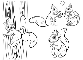 Cute cartoon squirrel vector coloring page outline. Squirrel with hazelnut, two squirrels in love, squirrel climbing the tree. Coloring book of forest animals for kids. Isolated on white background