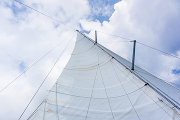Fototapeta na wymiar sails of a sailing yacht in the wind