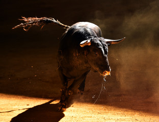 toro
