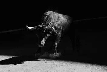Muurstickers toro español © alberto
