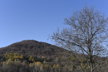 Bieszczady Mountain park with top view in high sun