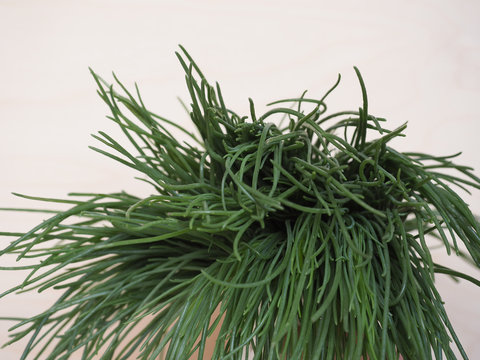 รูปภาพAgretti – เลือกดูภาพถ่ายสต็อก เวกเตอร์ และวิดีโอ15,903 | Adobe Stock