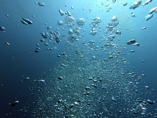 Bubble in the Blue Sea Underwater Ambiance