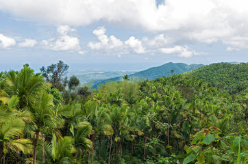 Atop Peaks of El Yunque and Atlantic Ocean in Distance © Ferrer Photography