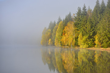 Autumn landscape in the mountains with trees reflecting in the water at St. Ana's lake, Romania