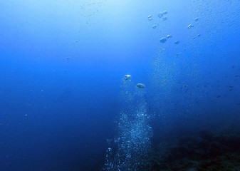 Fototapeta na wymiar Bubble in the Blue Sea Underwater Ambiance