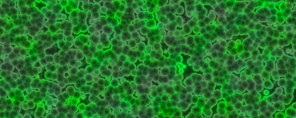 Coronavirus. COVID-19. 3D Render. Viral Infection concept. MERS-CoV, SARS-CoV, 2019-nCoV, Wuhan Coronavirus.     