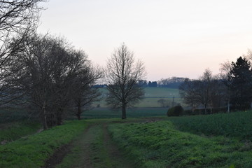 Countryside trail