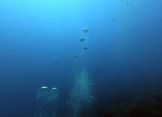 Fototapeta na wymiar Bubble in the Blue Sea Underwater Ambiance
