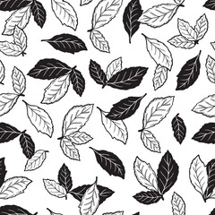 Hand drawn Green tea leaves or Mint Leaf Seamless pattern. Medicinal plants or Spicy Herbs Vector Background