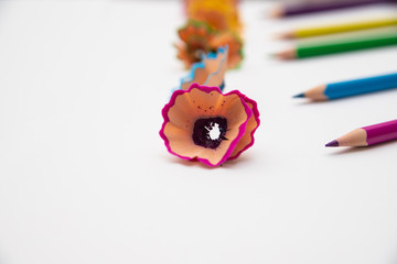 Colored pencils on a white background. Wood shavings from pencils.