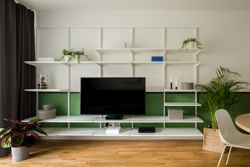 Decorative wall shelves and big tv