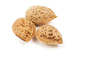 Almond seeds on a white background