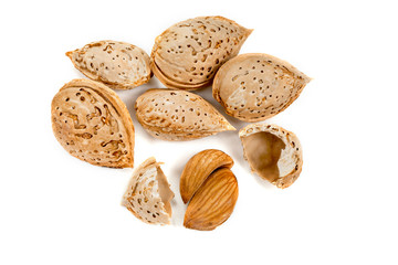 Almond seeds on a white background