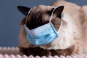 Mask coronavirus covid 19 flu, disease danger.