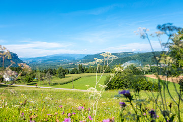 Alpine Scenery. Landscape of Carinthian Alps in Austria