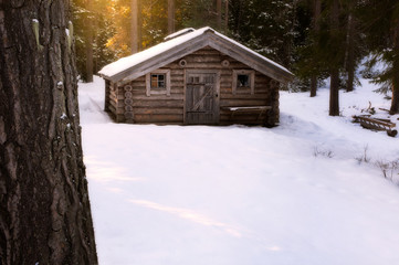 Small wooden cabin with snow on the roof and ground. Forest and sun in the background and a pine in...
