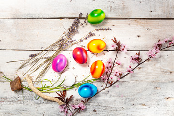 colored easter egg on wood background