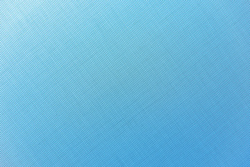 light background: sky blue light visible through a mosquito net