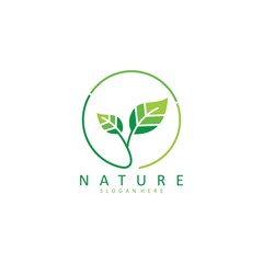 green leaf logo vector icon