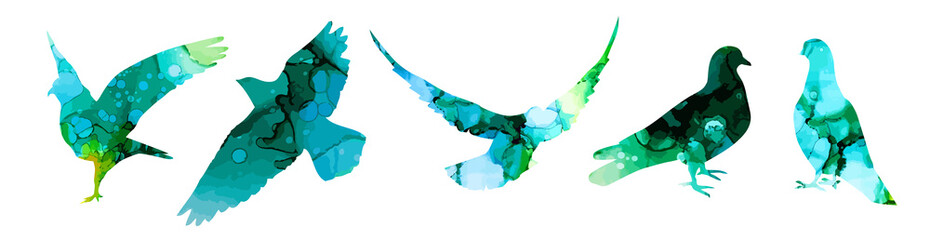 A set of silhouettes of pigeons. Mixed media. Vector illustration