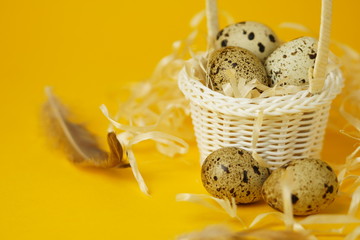 White wicker basket filled with straw,quail eggs and feathers on a yellow background. The concept of Easter Holidays. Easter card.Close-up.