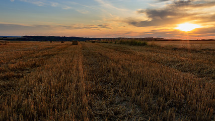 Fototapeta na wymiar harvested agricultural field with hay bales at golden sunset sky in Möckmühl, Germany
