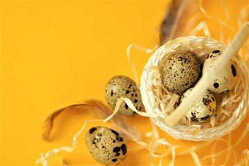 White wicker basket filled with straw,quail eggs and feathers on a yellow background. The concept of Easter Holidays. Easter card.Close-up.