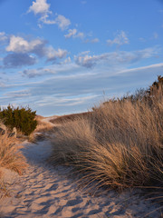New Jersey's Island Beach State Park shows its true beauty in this dusk image of one of the many access points to the beach across the tall an protected sand dunes