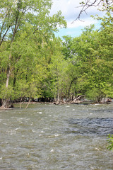 Springtime on the Fox River
