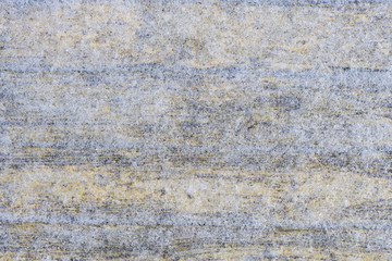 snow background board