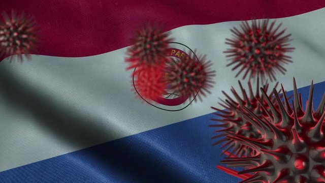 3D Spreading Coronavirus Disease on a Waving Paraguay Flag