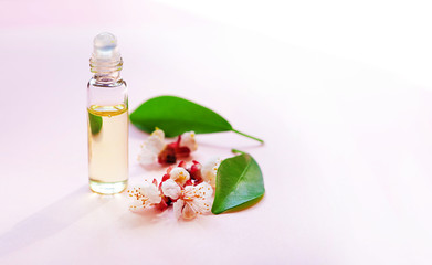 Cosmetic essential oil. Bottle with  fresh green plant leaves and flowers and sunlight on pastel pink  background.  Natural  cosmetics and Aromatherapy treatment. Copy space