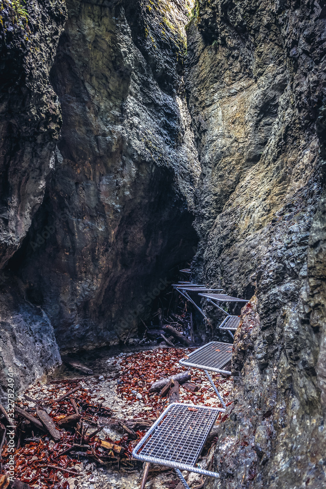 Poster Steps in Sucha Bela canyon trail in Slovak Paradise park in Slovakia