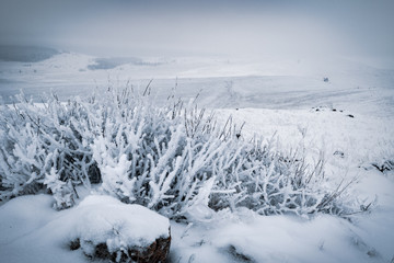 Siberian landscape near Baikal lake