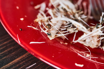 Fish bones on a single red plate. Closeup shot