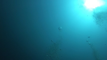 Fototapeta na wymiar Beautiful Scenery in the Blue Sea, Underwater Ambience